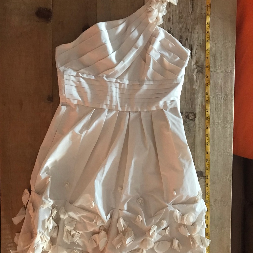 BCBG IVORY DRESS